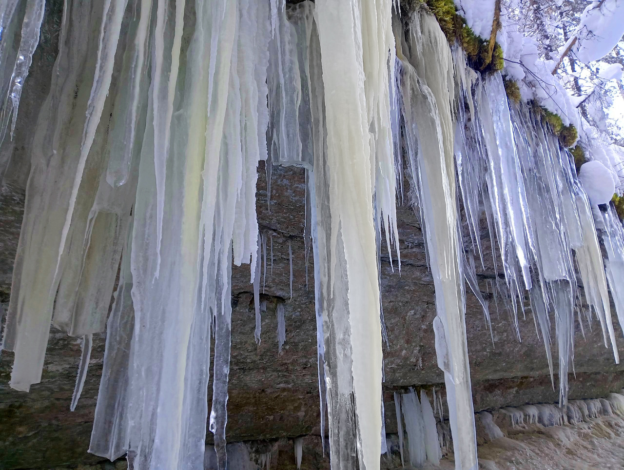 Поход выходного дня 31.01.26 - Фото 4
