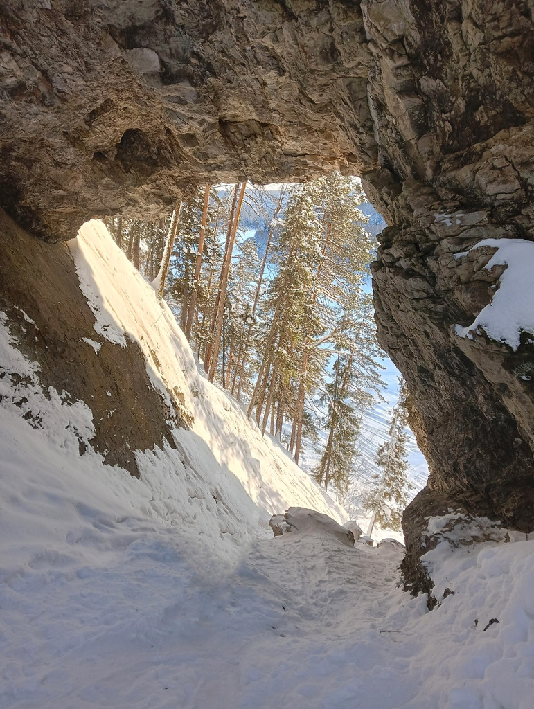 Поход выходного дня 31.01.26 - Фото 5