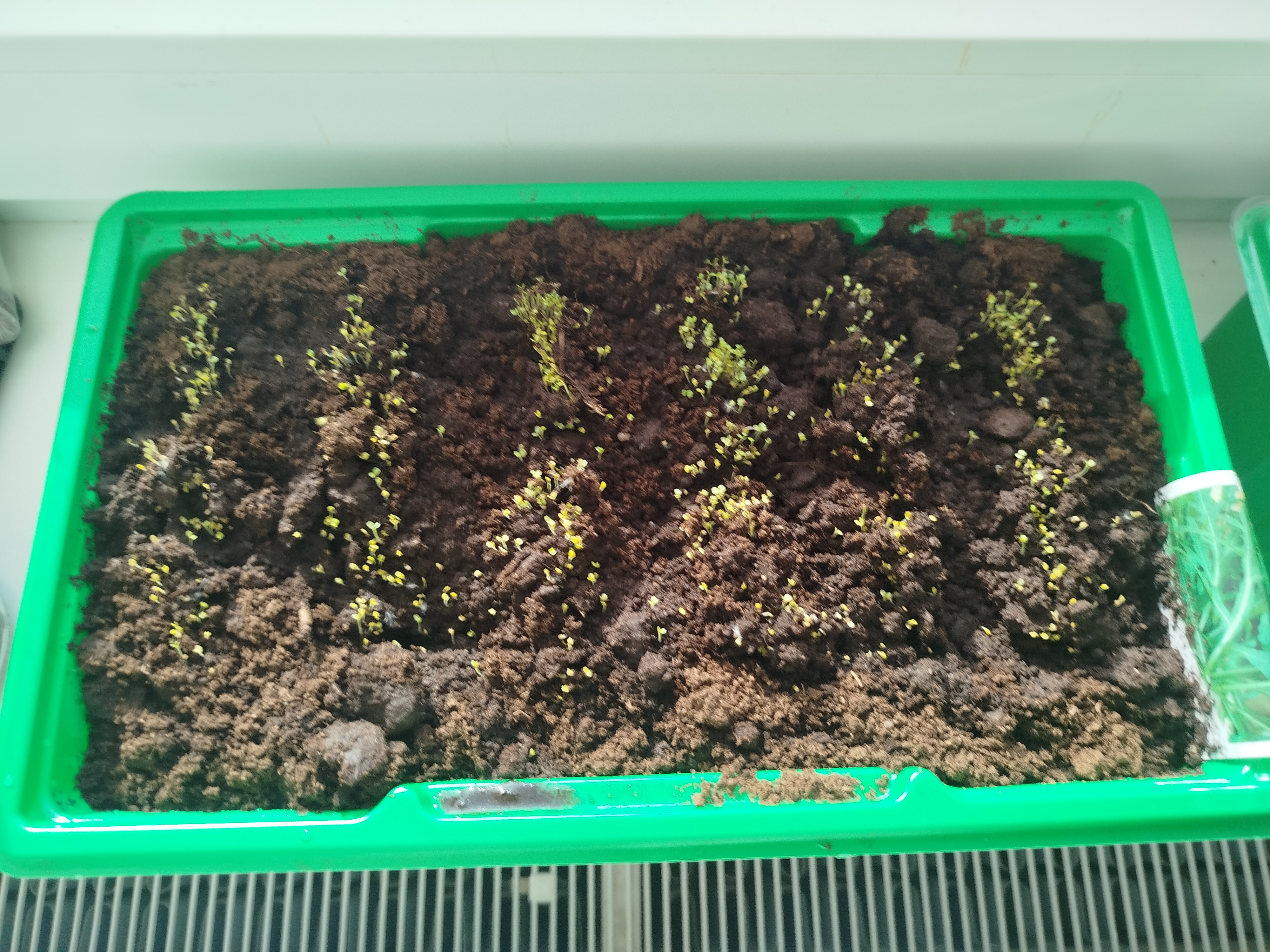 Продам Аvatr 07 - Фото 4