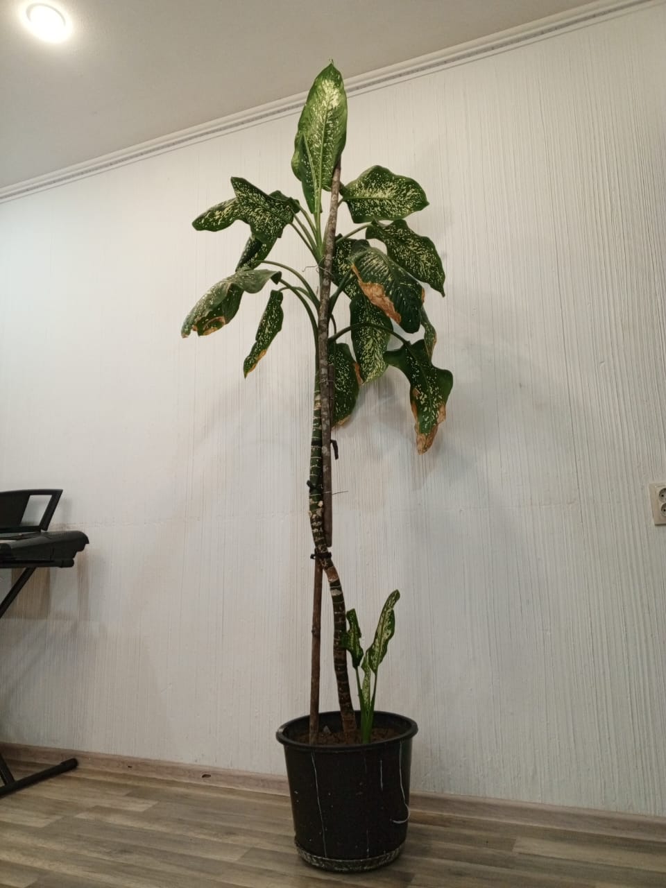 Продам Аvatr 07 - Фото 8