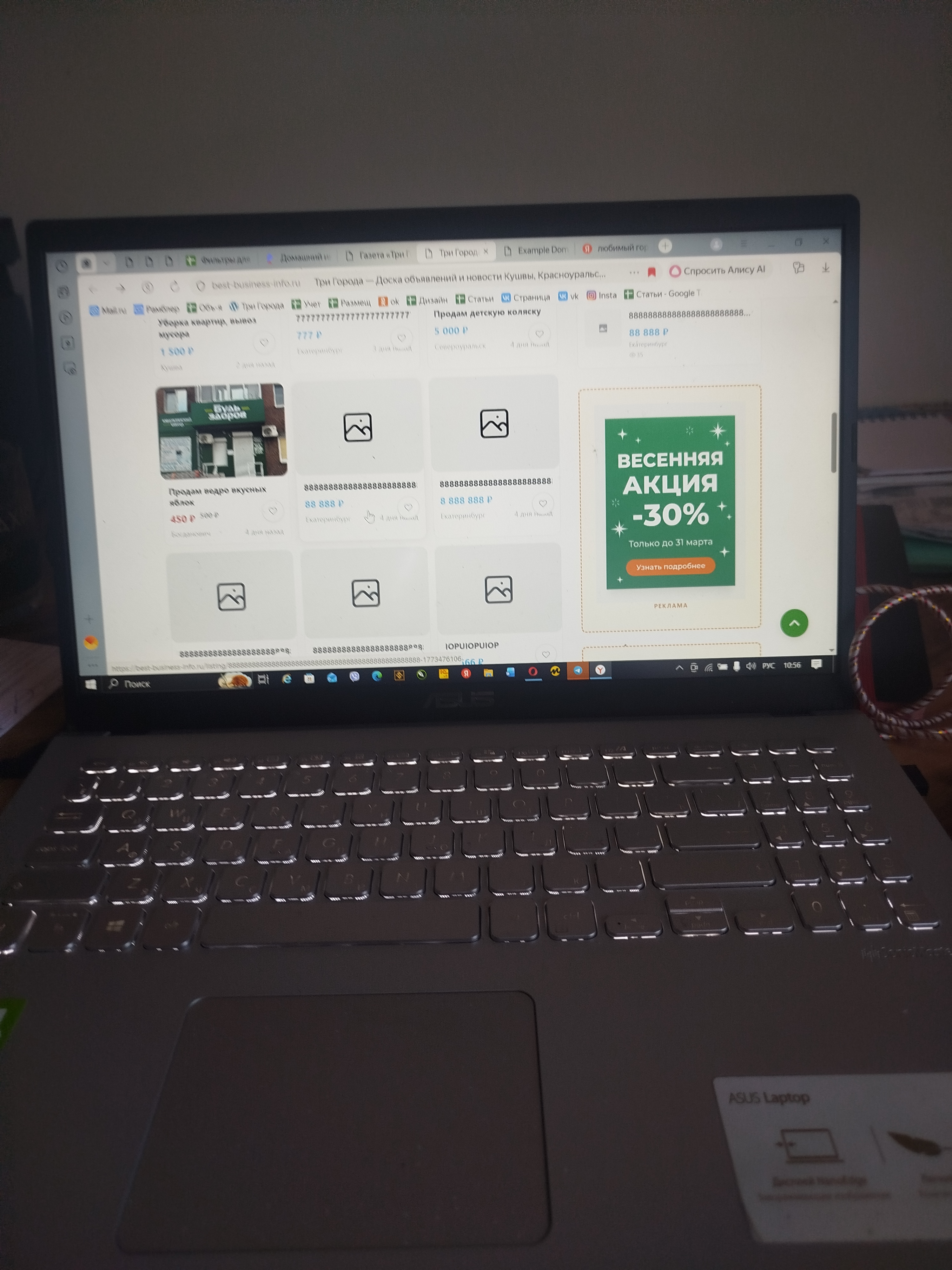 Рассада многолетних цветов - Фото 1