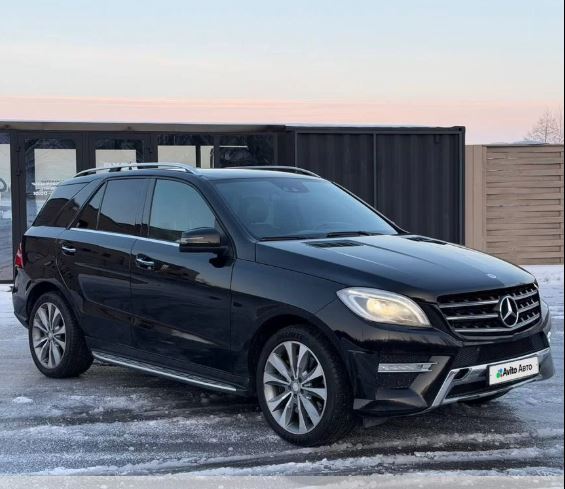 Продам кусты - Фото 1