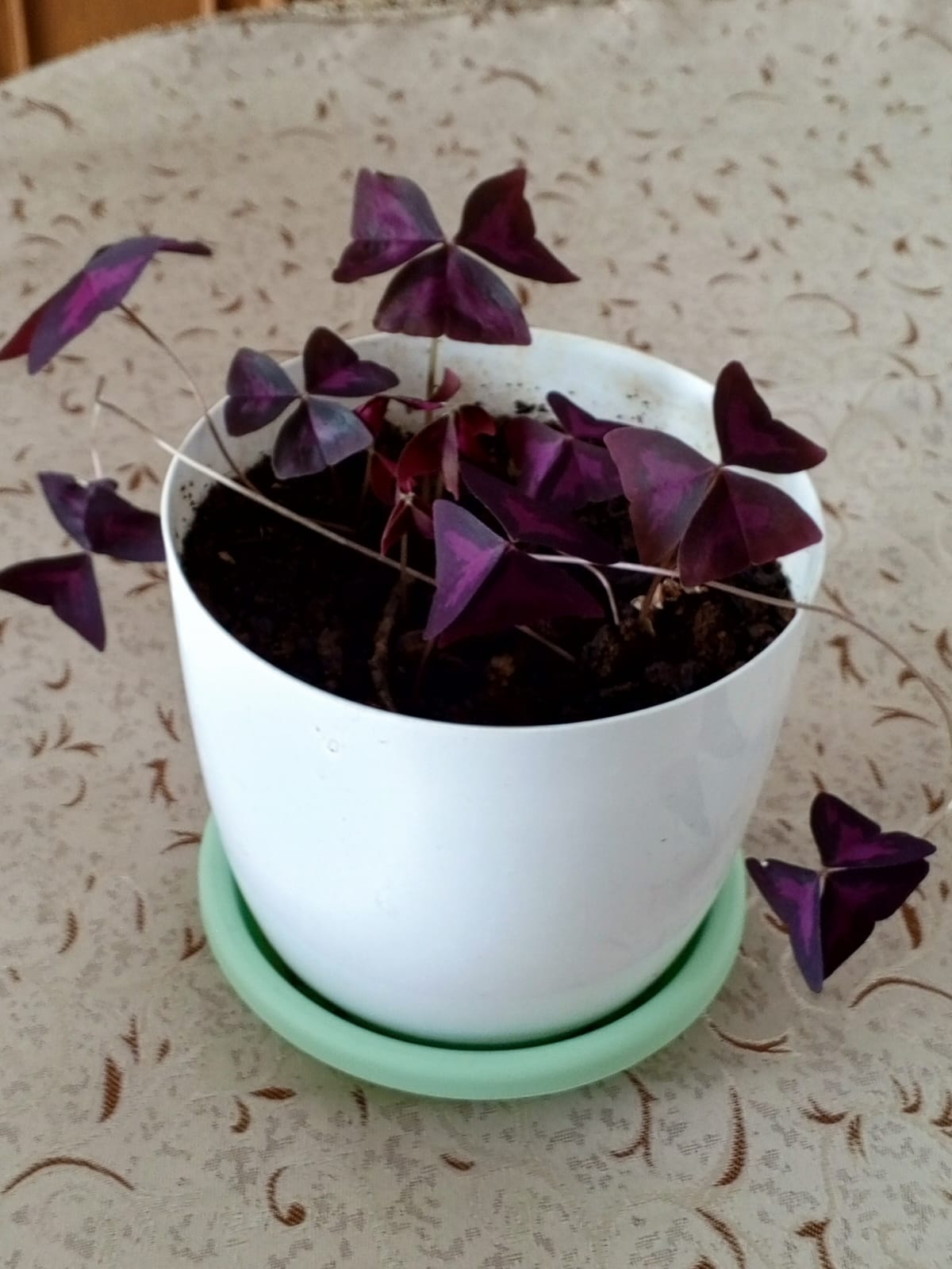 Сухие строительные смеси - Фото 7