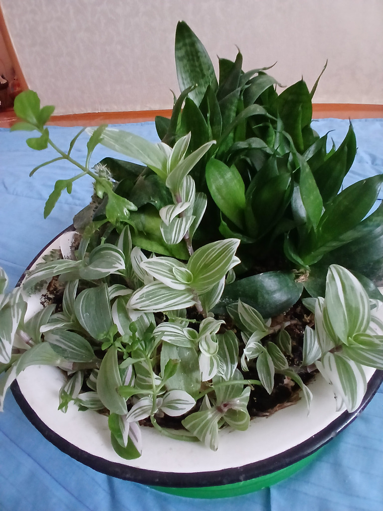 Разное - Фото 1