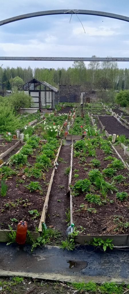 Продам домик с участком в коллективом саду √5 - Фото 3