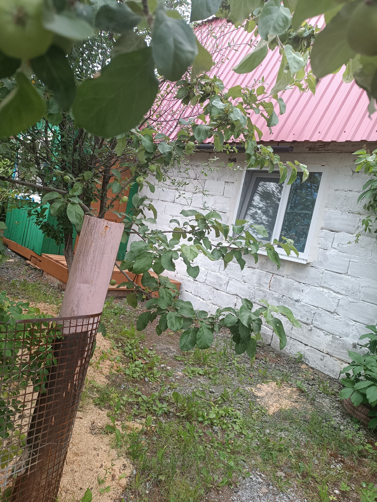 Продам участок в коллективном саду #4 - Фото 2