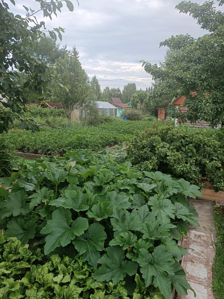 Продам участок в коллективном саду #4 - Фото 10