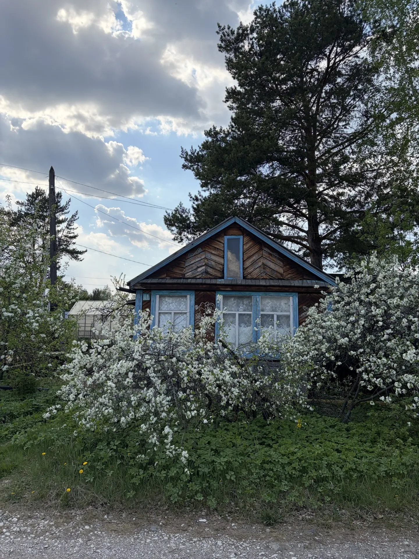 Продам сад в коллективном саду N4 - Фото 3