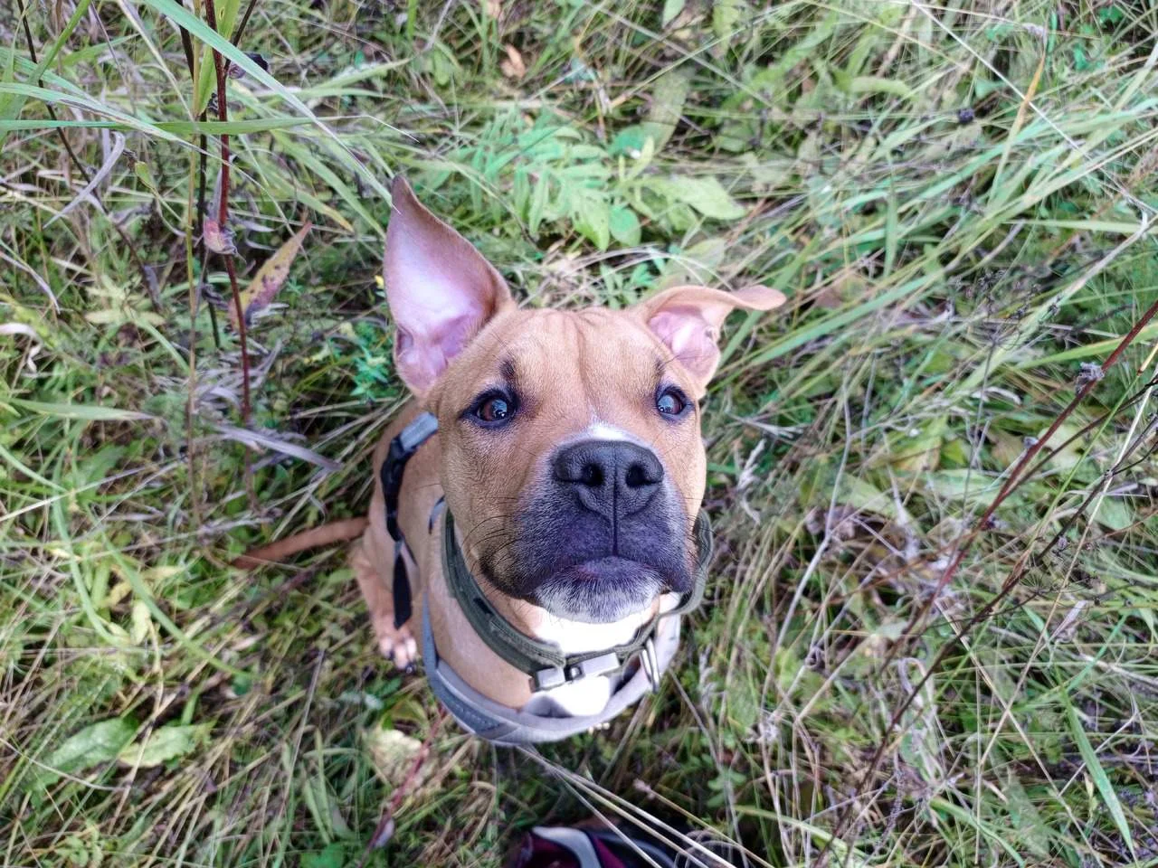 ПРОПАЛ!!! - Фото 1