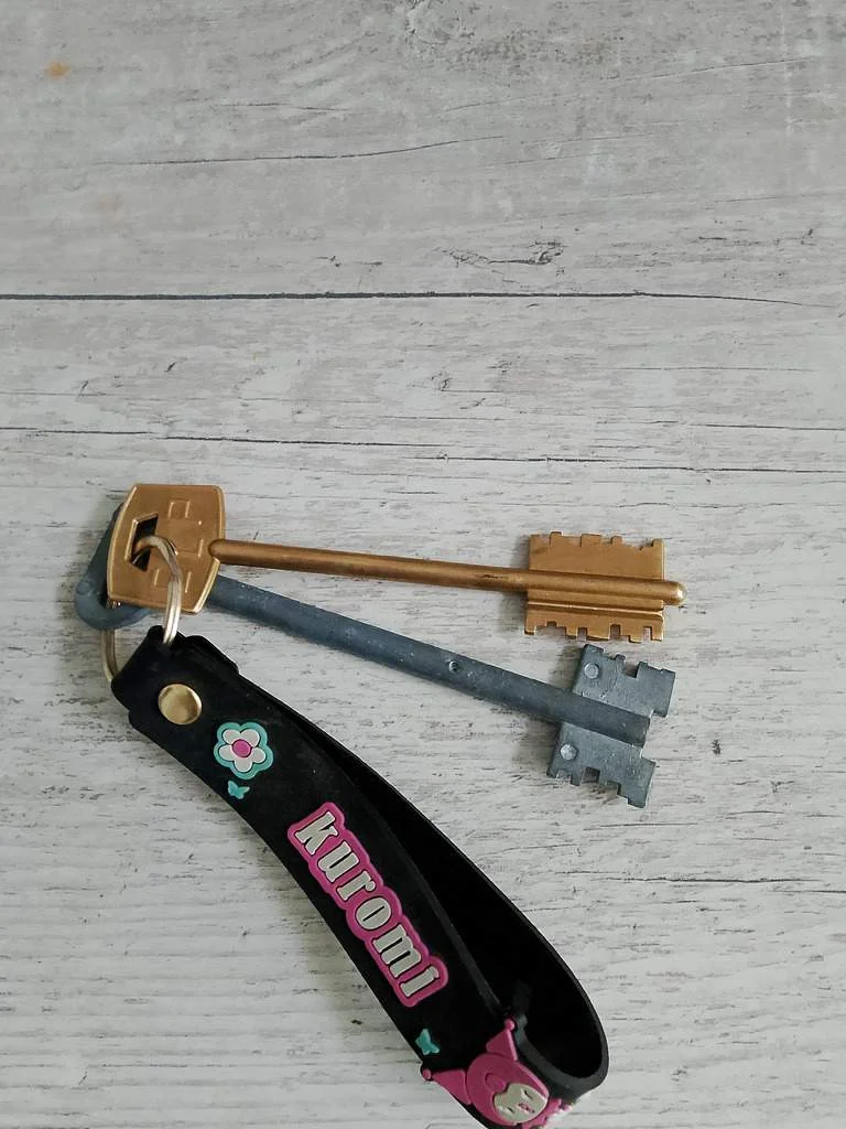 Кто потерял ? - Фото 1