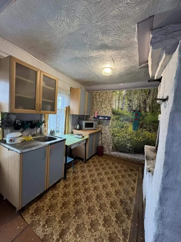 Дом в д.Ясьва - Фото 2