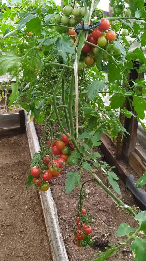 Продажа дома - Фото 10