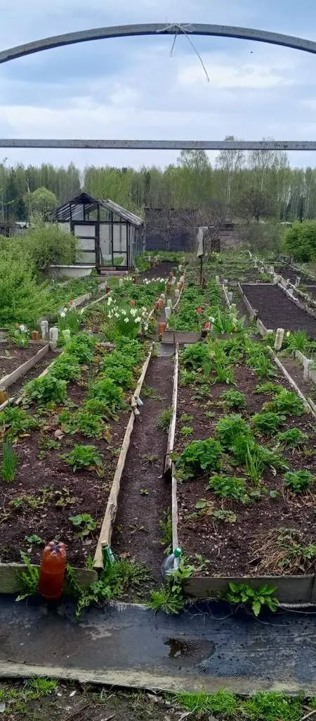 Продам домик с участком в коллективом саду √5 - Фото 3