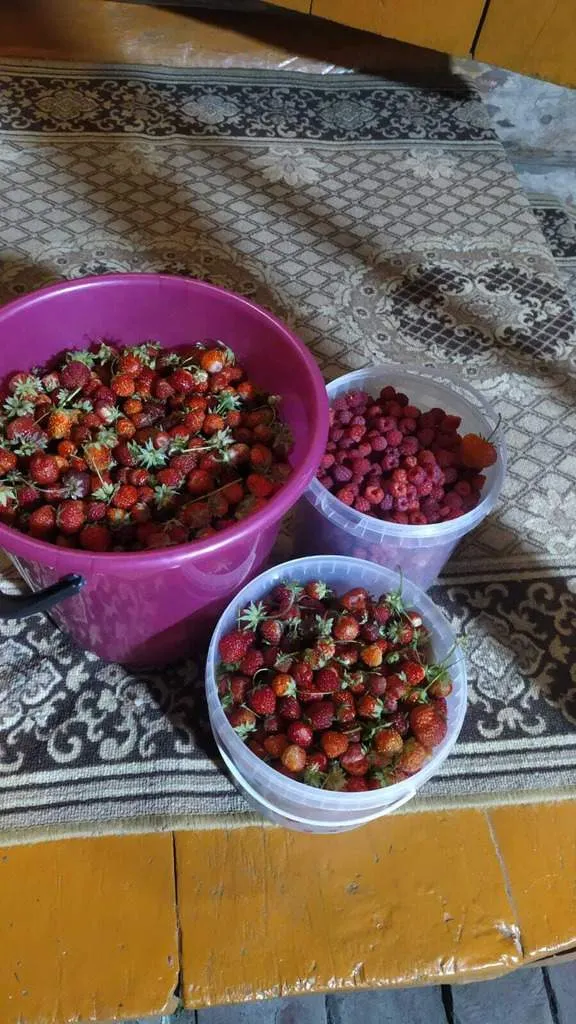 Продажа дома - Фото 4