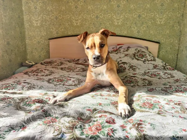 ПРОПАЛ!!! - Фото 3