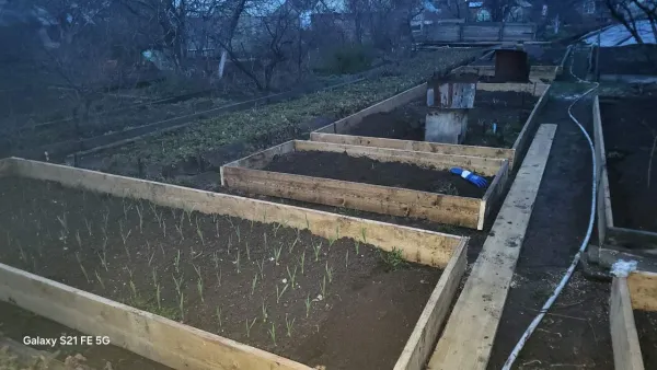 Продам сад - Фото 5
