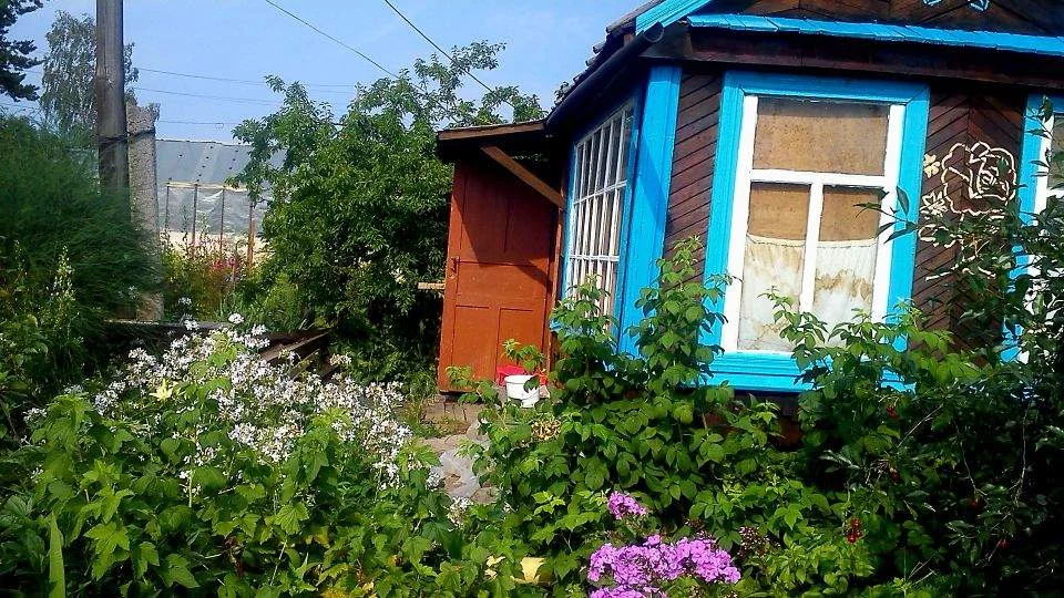 Продам сад в коллективном саду N4 - Фото 1