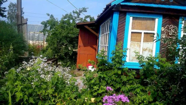 Продам сад в коллективном саду N4 - Фото 1