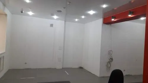 Нежилое помещение, 100 м² - Фото 4