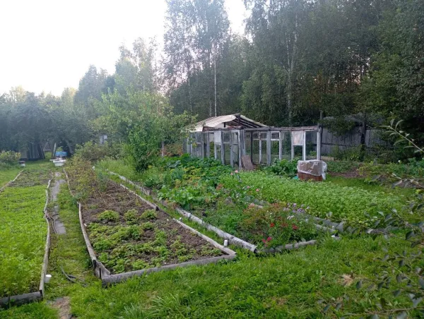 Садовый участок в к/с "Строитель", торг уместен. - Фото 5