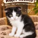 Котёнок ищет хозяев 