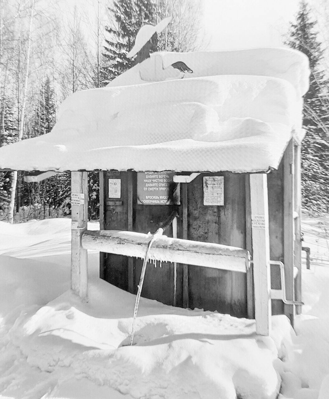 «Вода – что надо!»