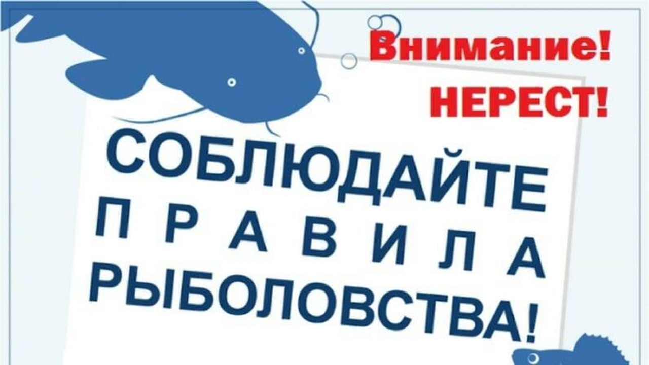 В Свердловской области введут запрет на рыбалку во время нереста