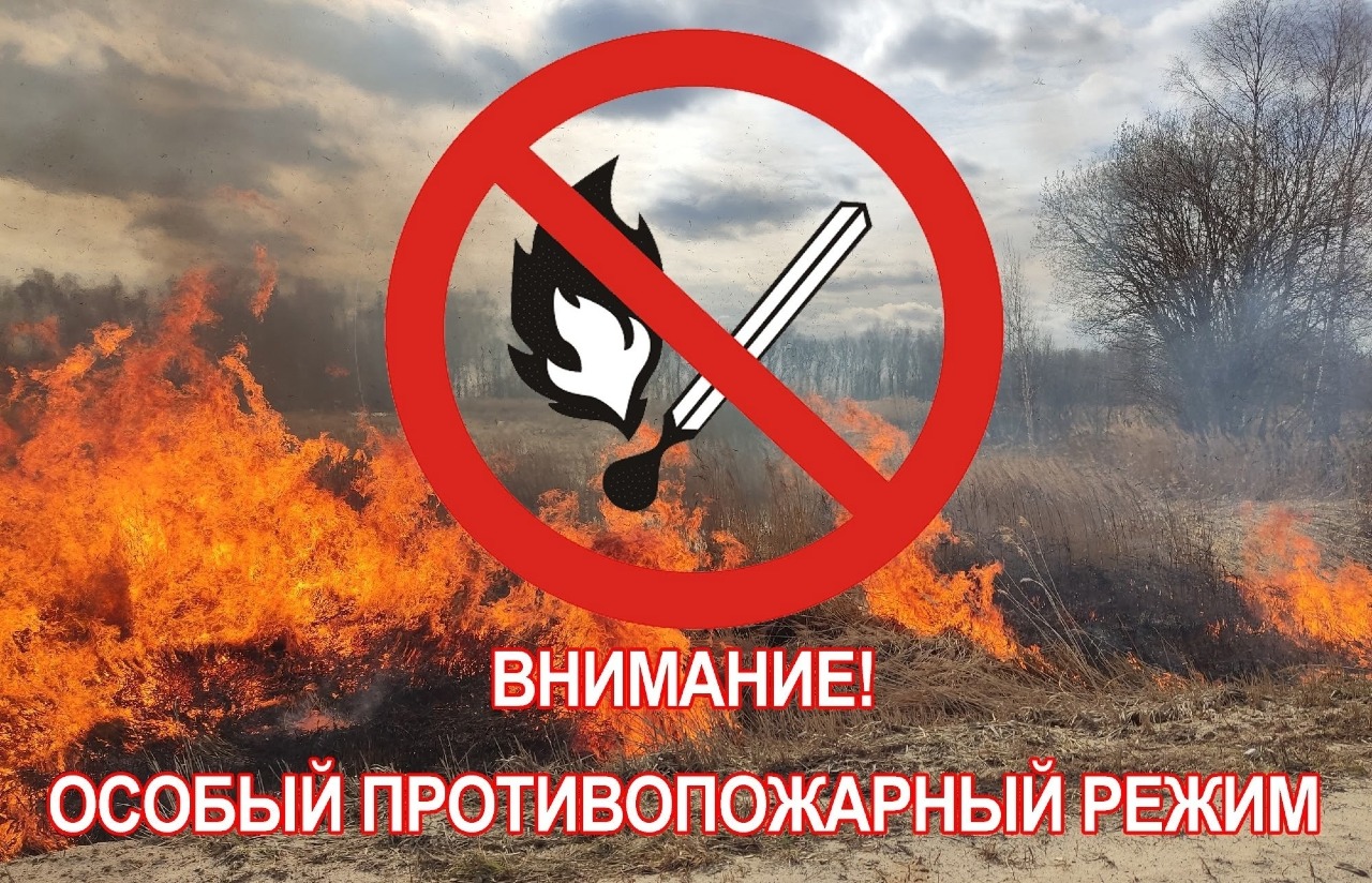 В Свердловской области – особый противопожарный режим
