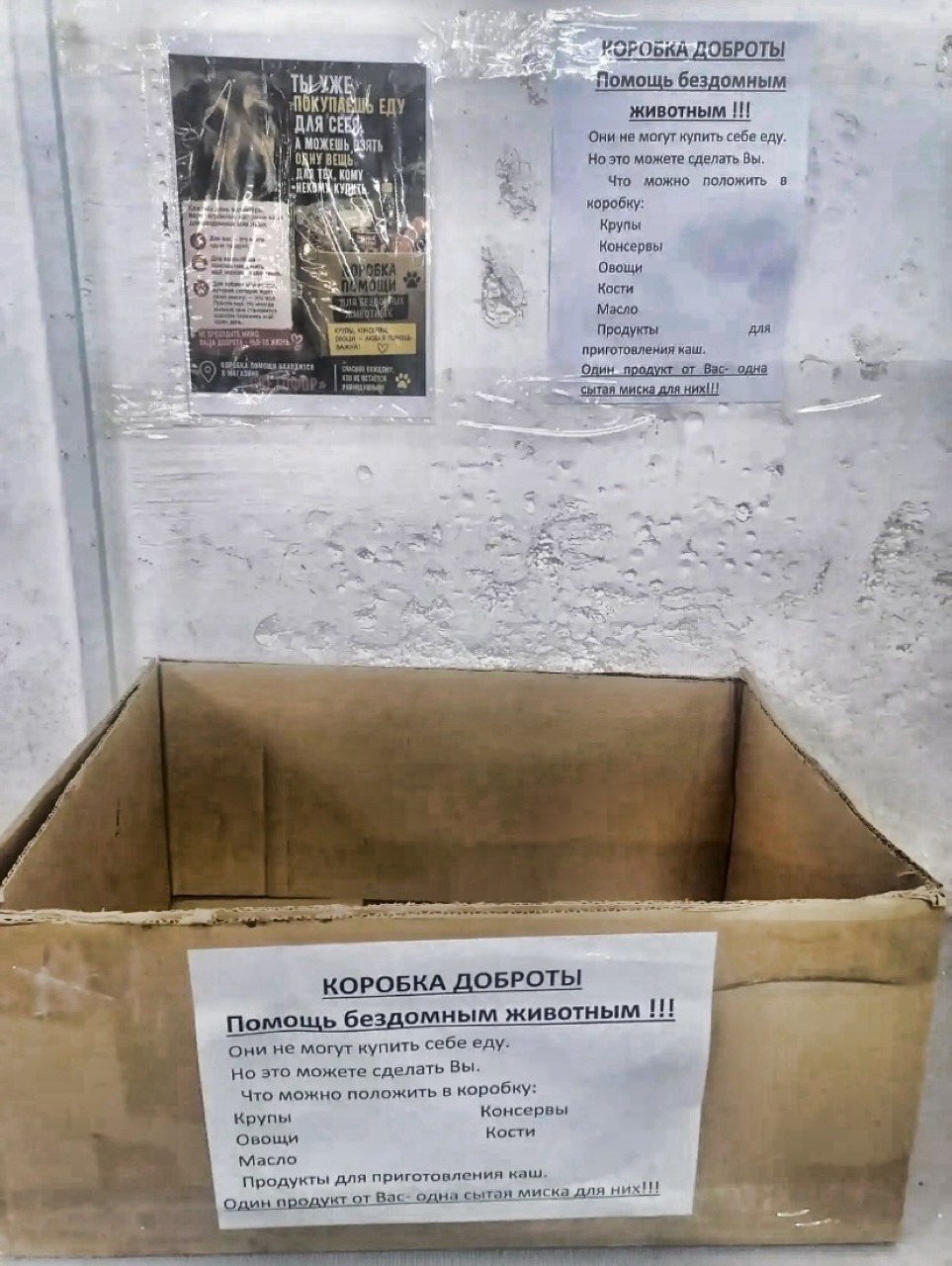 В магазине «Светофор» в Красноуральске  появилась «КОРОБКА ДОБРОТЫ»…
