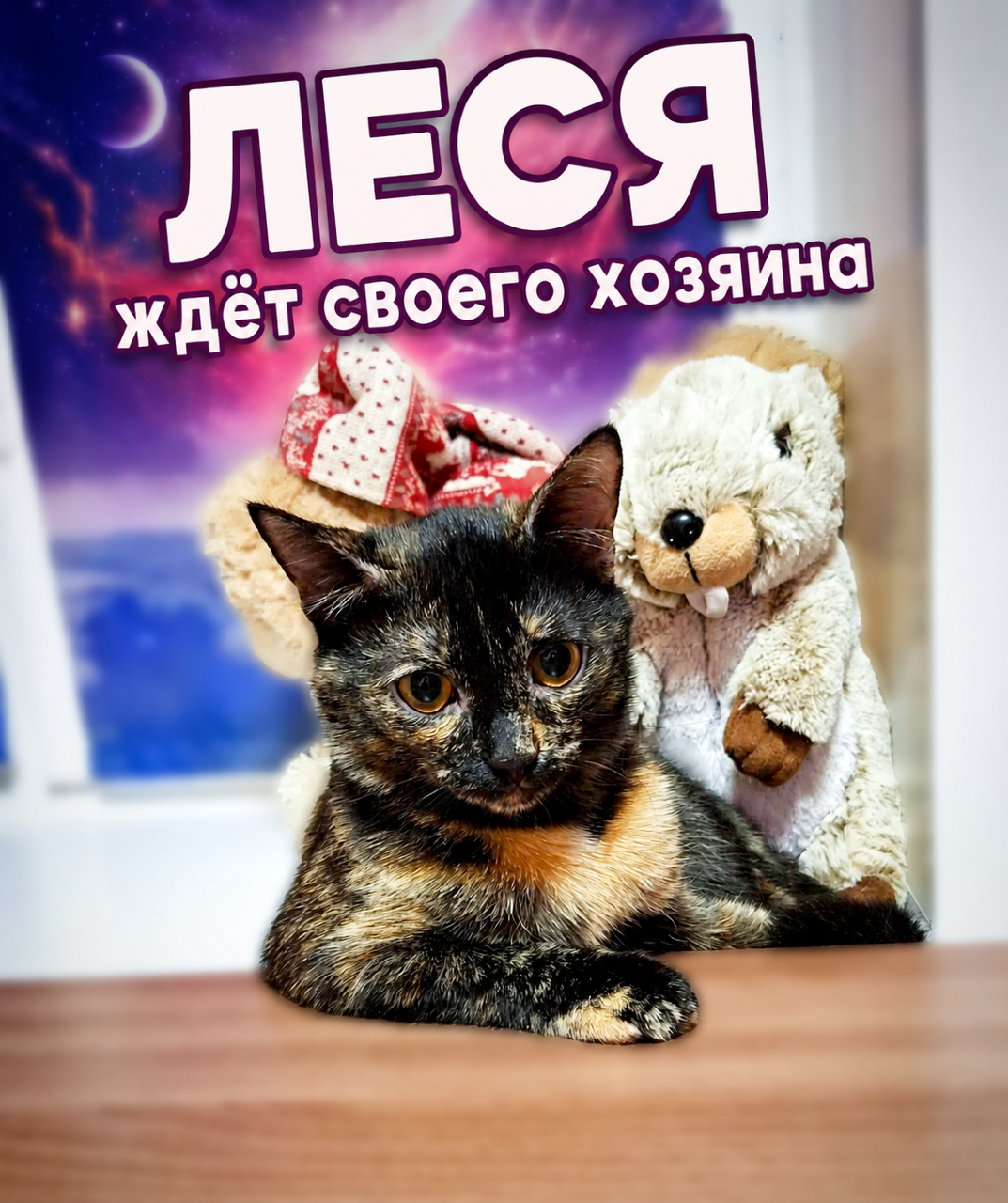 ЛЕСЯ ждёт своего хозяина