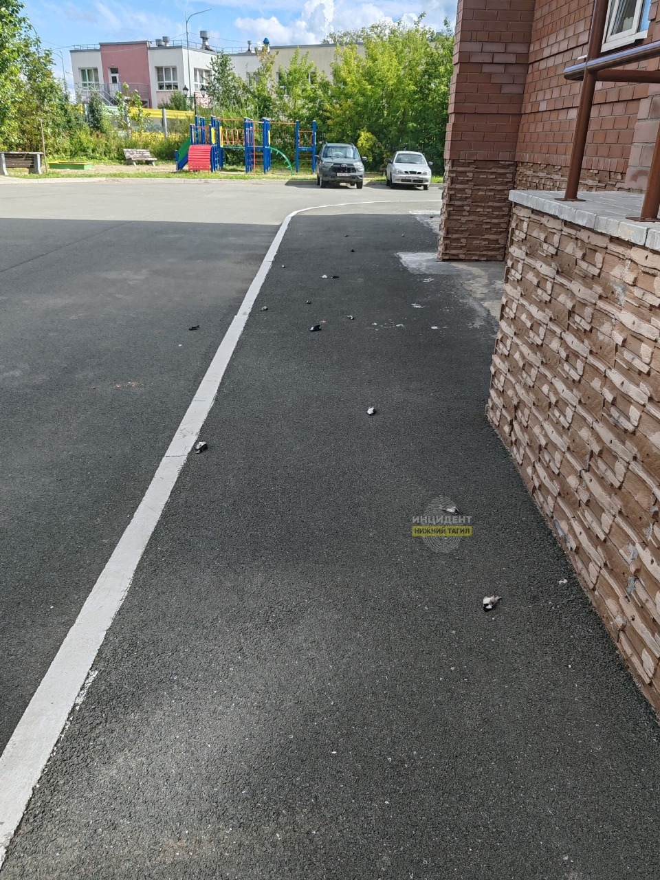 Массово гибнут птицы в уральских городах.