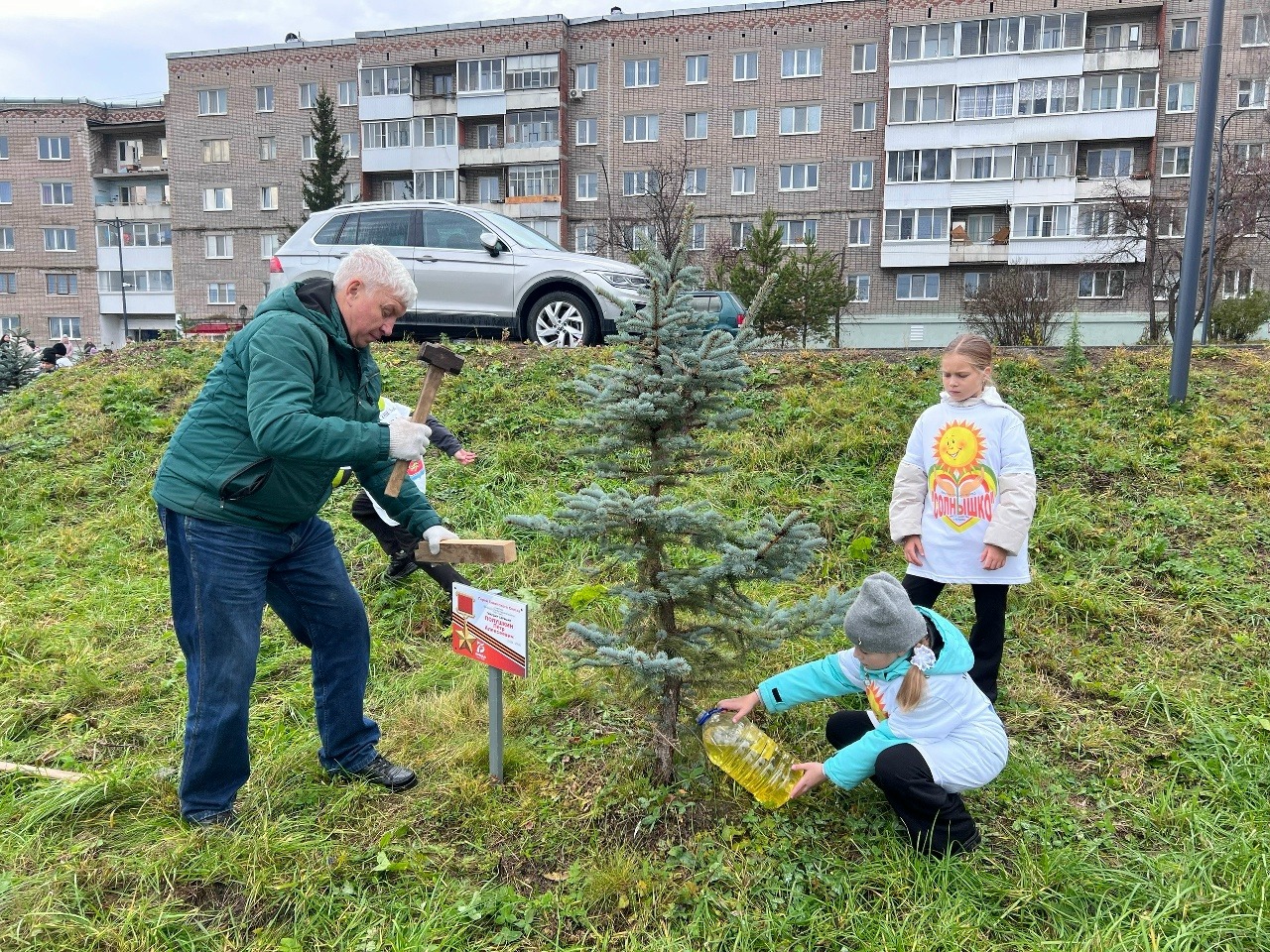 В Кушве восстановили памятные таблички у голубых елей, высаженных в честь Героев…