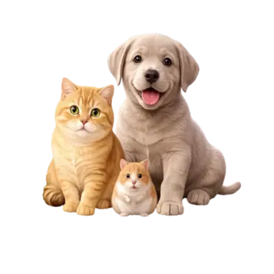 Братья наши меньшие